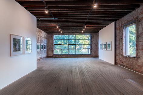 Installation view, "Nutka" photograph series