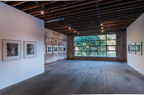 Installation view, "Nutka" photograph series