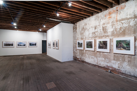 Installation view, "Nutka" photograph series